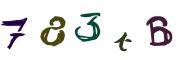 图形验证