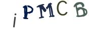 图形验证