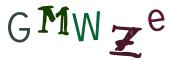 图形验证
