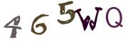 图形验证